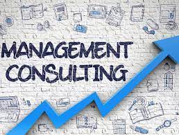 management consultant 